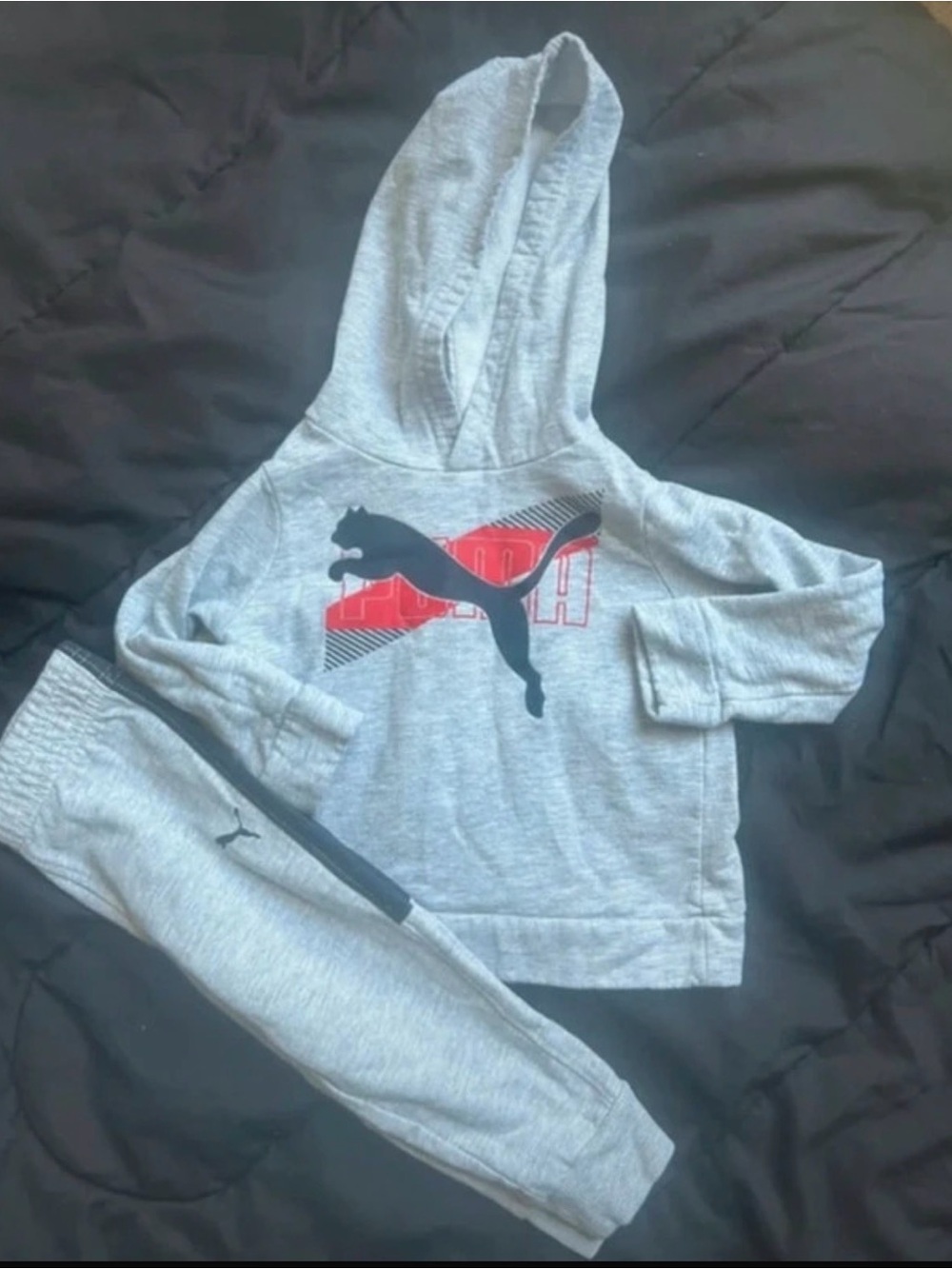 Puma Light Gray Hoodie with Black Puma Logo and Red Graphic